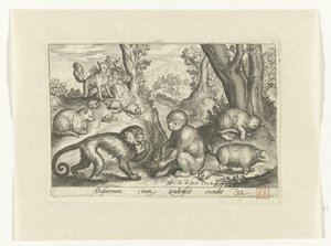 Affen, Katzen und Mäuse