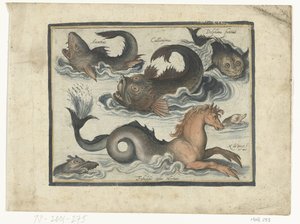 Fantastische Wasserwesen, darunter Seepferdchen von Nicolaes de Bruyn