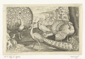 Zwei Pfauen und ein Truthahn von Nicolaes de Bruyn