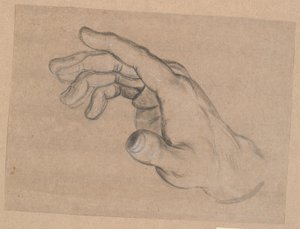Studie einer Hand