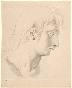 Studie für das Haupt von Prinz Hans auf dem Bild von Christian I. im Rittersaal von Christiansborg