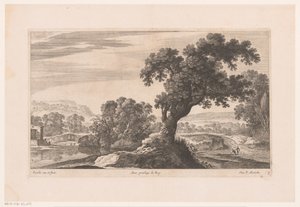 Landschaft mit Baum am See