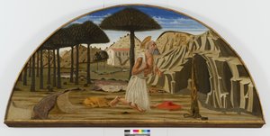 Heiliger Hieronymus in der Wüste von Nicolo di Maestro Antonio dAncona