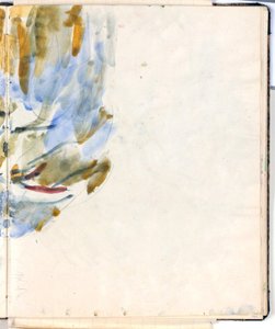 Studie von Gebüsch