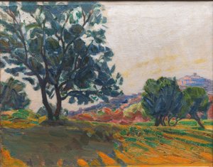 Der Olivenhain. Mit Cagnes im Hintergrund. Gegen das Licht
