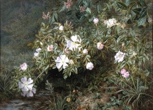 Studie von Hundsrosen, um 1900 von Niels Pieter Rasmussen