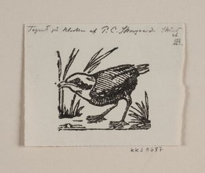 Ein Vogeljunges