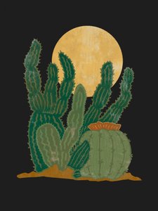 Kakteen unter goldenem Mond