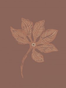 Strukturierte botanische Blätter