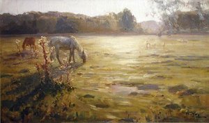 Pferd auf einer Wiese