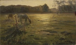 Pferde auf der Wiese