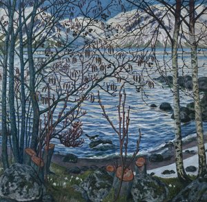Vogel auf Felsen von Nikolai Astrup