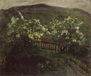 Frühlingsregen und Kirschblüte