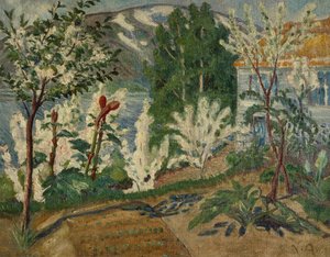 Weiße Blumen bei Jølstersee