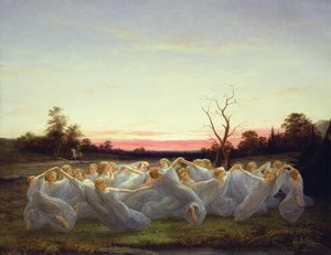 Feen der Wiese von Nils Blommer