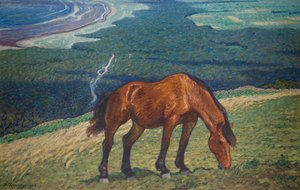 Weidendes Pferd