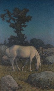 Weißes Pferd in der Dämmerung