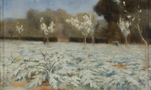 Artischocken, Hyeres