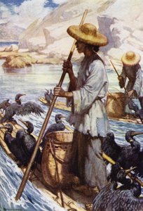 China: Fischen mit Kormoranen von Norman Hardy