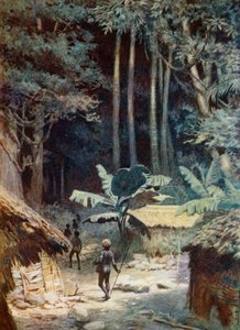 In den Tiefen eines melanesischen Waldes, 1908