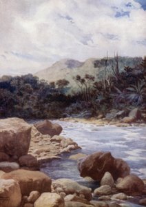 Die Stromschnellen, Williams River, Insel Eromanga, Neue Hebriden (Farblithografie)