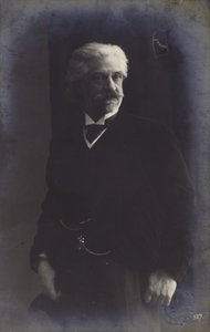 Porträt von Edvard Grieg von Norwegian Photographer