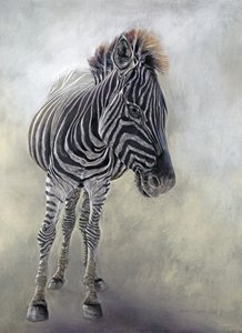 Equus burchelli 1, 2009 von Odile Kidd