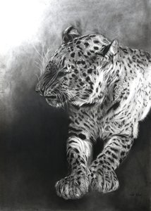 Panthera pardus 2, 2009 von Odile Kidd