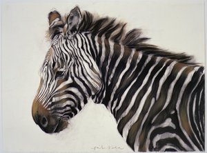 Zebra, 2002 von Odile Kidd
