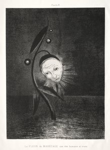 Hommage an Goya: Die Sumpfblume, ein trauriger Menschenkopf, 1885