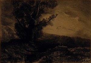 Landschaft