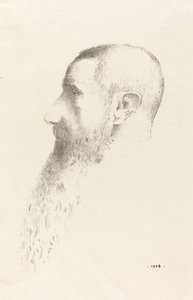 Roger Marx von Odilon Redon