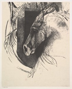 Der Hengst, 1894