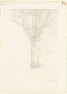 Baum von Odilon Redon