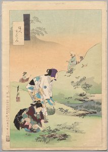 Schönheiten beim Ernten von Farnen, aus der Serie Gekkōs Miscellaney