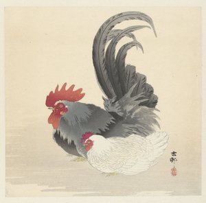 Huhn und Hahn