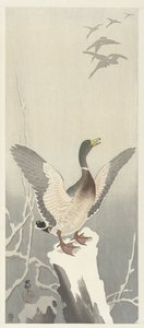 Ente auf verschneitem Baumstumpf