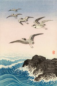 Fünf Möwen über einem Felsen im Meer, 20. Jahrhundert von Ohara Koson