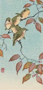 Fünf kleine Vögel auf einem Zweig, von dem japanischen Künstler Ohara Koson von Ohara Koson