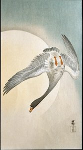 Flug der Ente im Mondlicht. Xylographie und japanischer Druck von Ohara Koson
