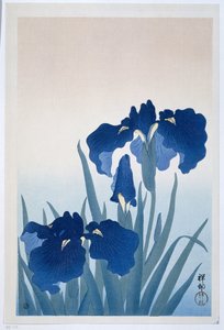 Schwertlilien von Ohara Koson
