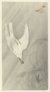 Jagender Habicht von Ohara Koson