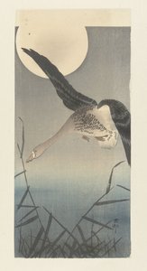 Kolgans bei Vollmond von Ohara Koson