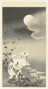 Kaninchen bei Vollmond