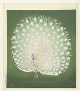 Pfau von Ohara Koson