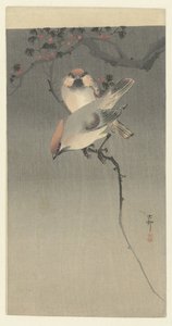 Seidenschwänze von Ohara Koson