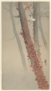 Roter Efeu von Ohara Koson