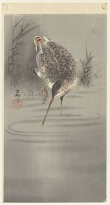 Schnepfe im Wasser von Ohara Koson