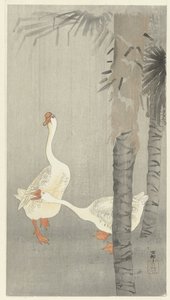 Gänse im Regen von Ohara Koson