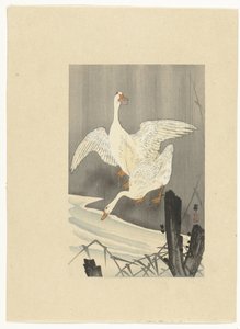 Zwei Gänse an einem Fluss von Ohara Koson